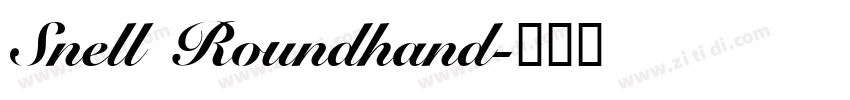Snell Roundhand字体转换